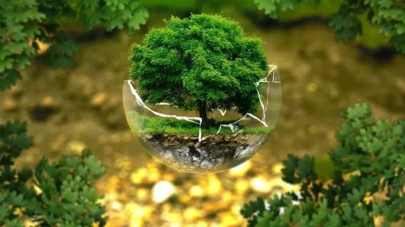 Sang Reformis Ekologis